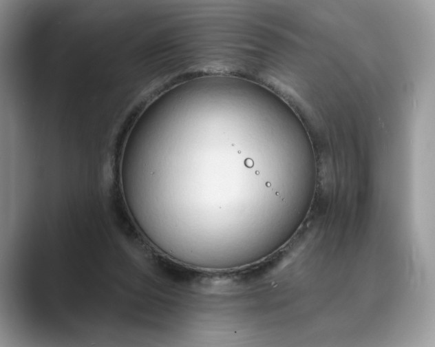 X0000089660208200707051536