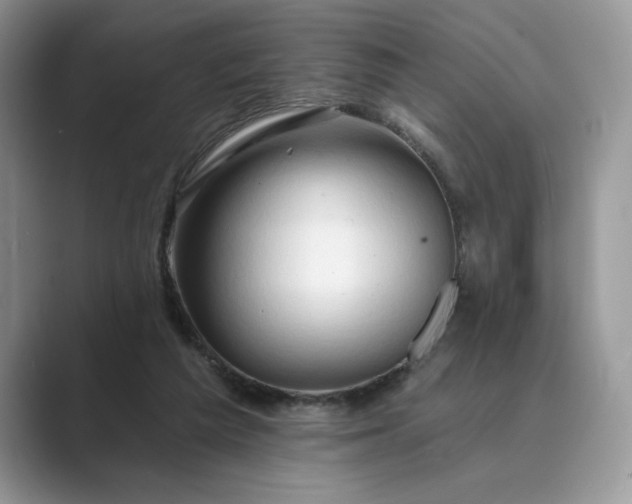 X0000089660209200707051536