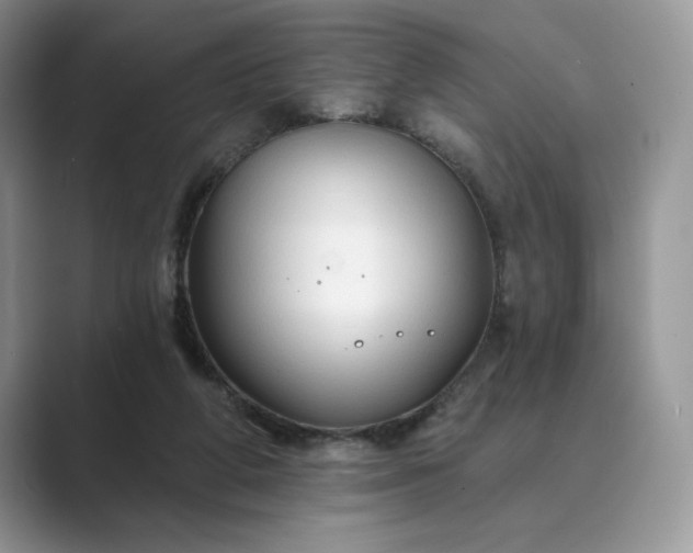 X0000089660210200707051536