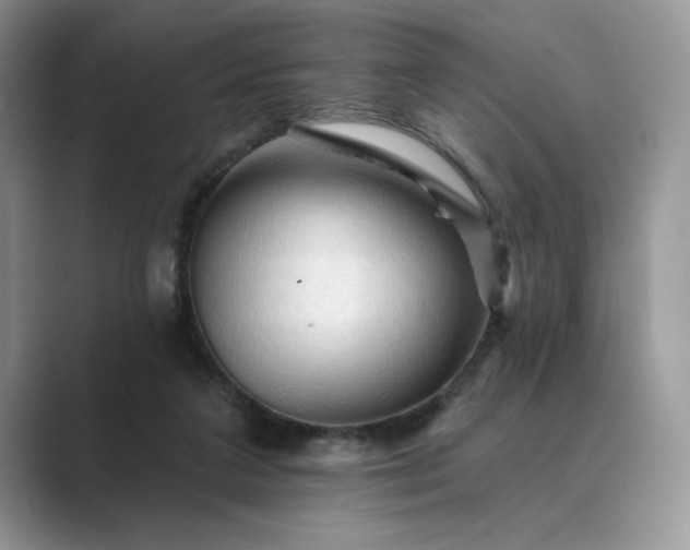 X0000089660211200707051536