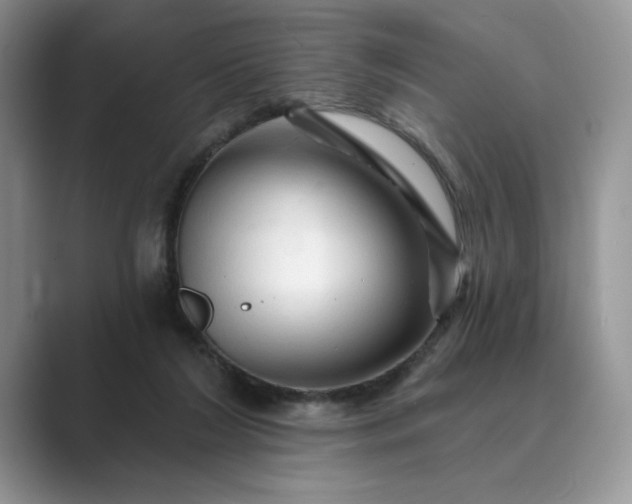 X0000089660212200707051536