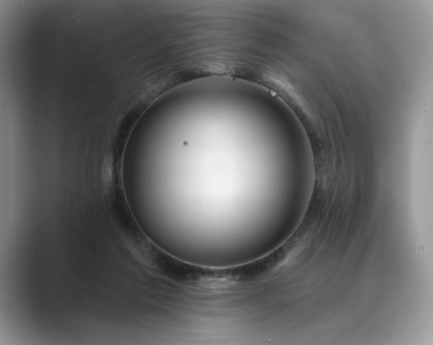 X0000089660213200707051536