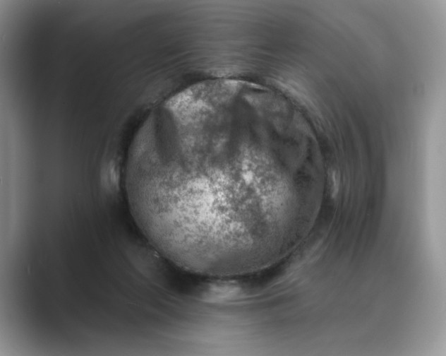 X0000089660214200707051536