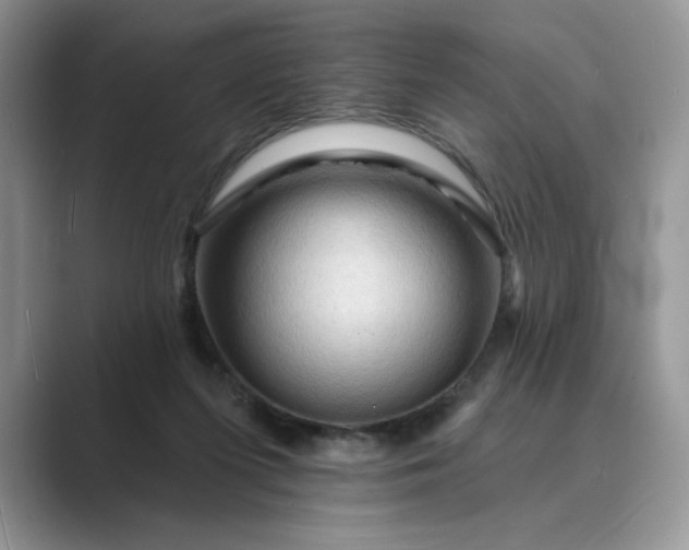 X0000089660215200707051536