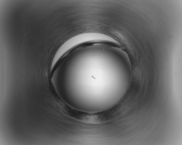 X0000089660217200707051536