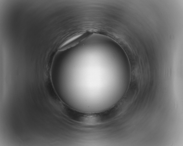 X0000089660218200707051536