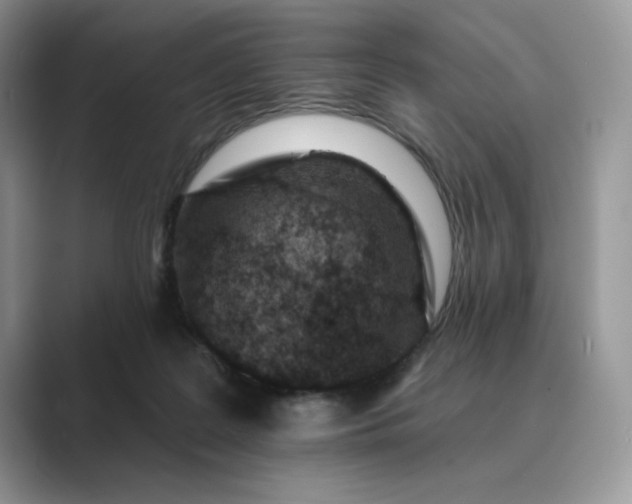 X0000089660219200707051536