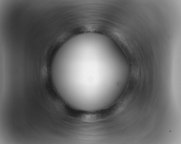 X0000089660220200707051536