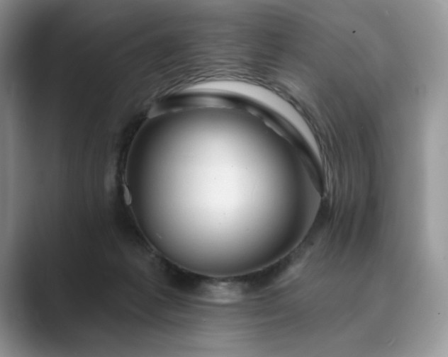 X0000089660221200707051536