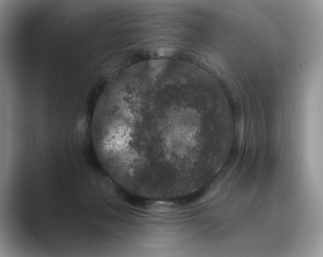 X0000089660222200707051536