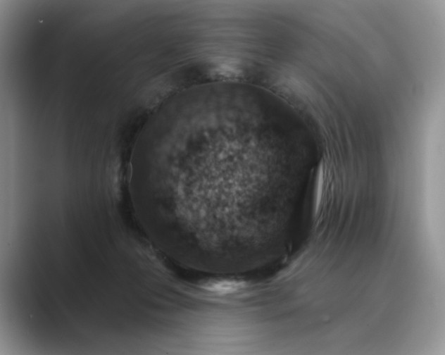 X0000089660223200707051536