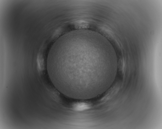 X0000089660224200707051536