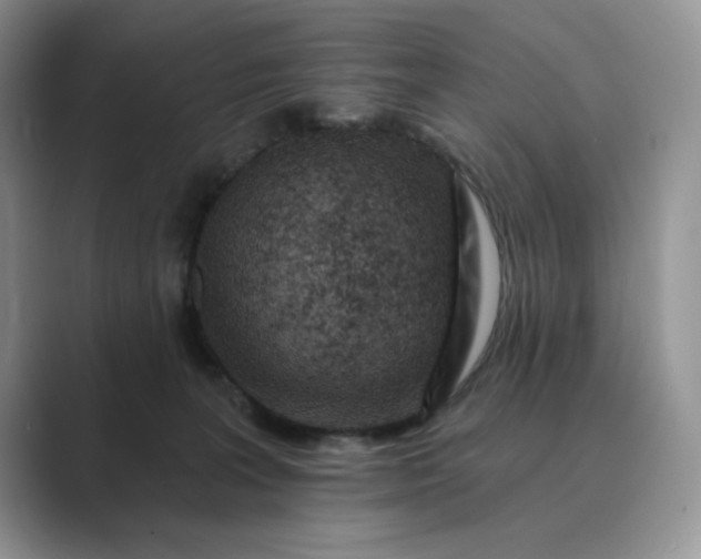 X0000089660227200707051536