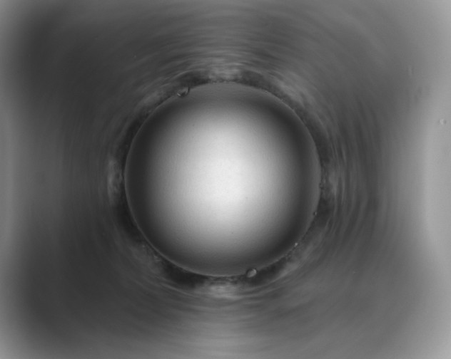 X0000089660228200707051536