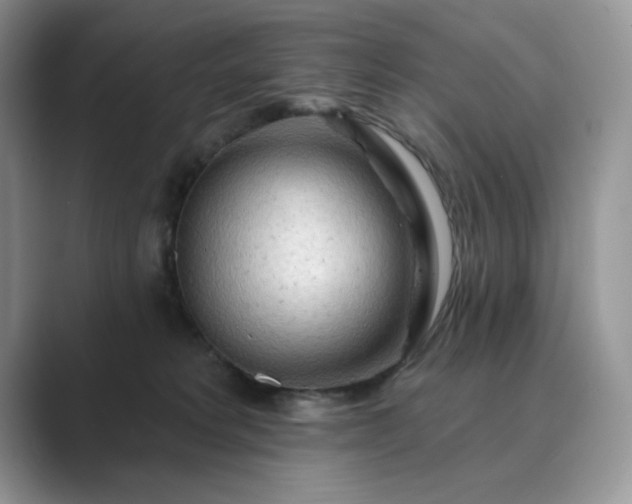 X0000089660229200707051536