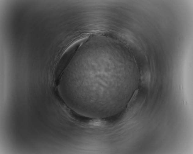 X0000089660231200707051536