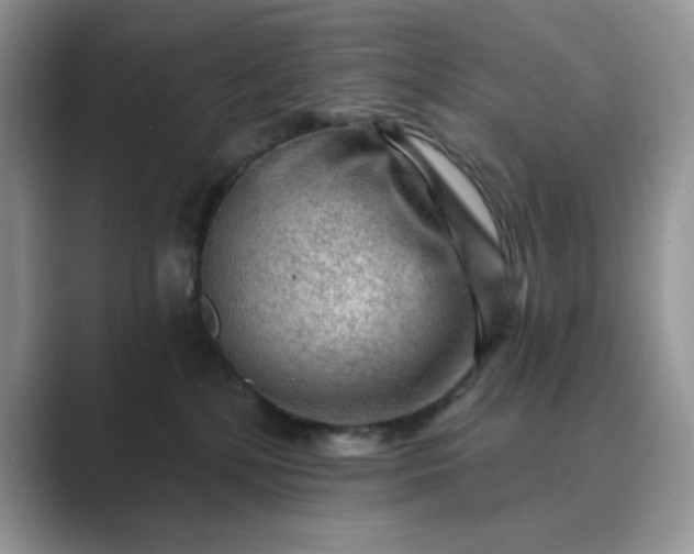 X0000089660232200707051535