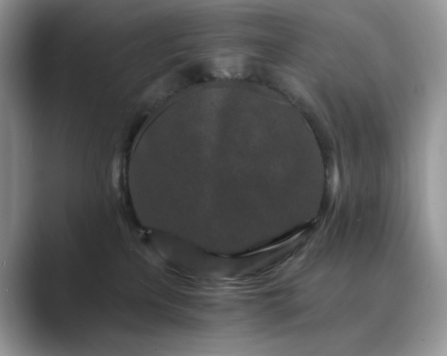 X0000089660233200707051535