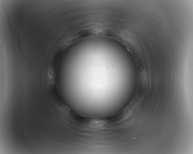 X0000089660234200707051535