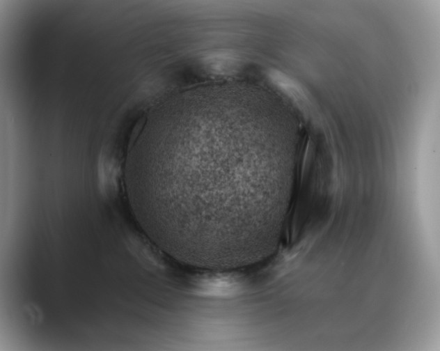 X0000089660235200707051535