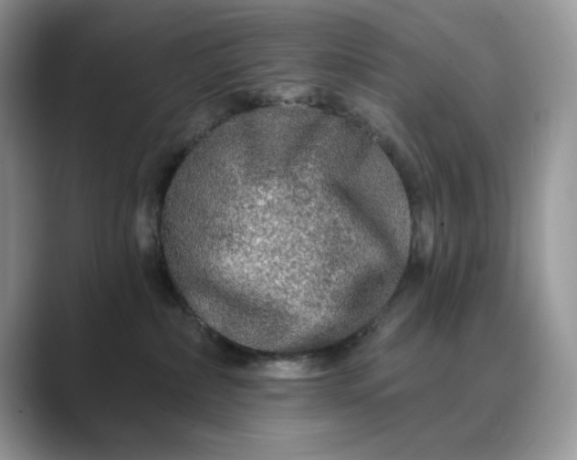 X0000089660236200707051535