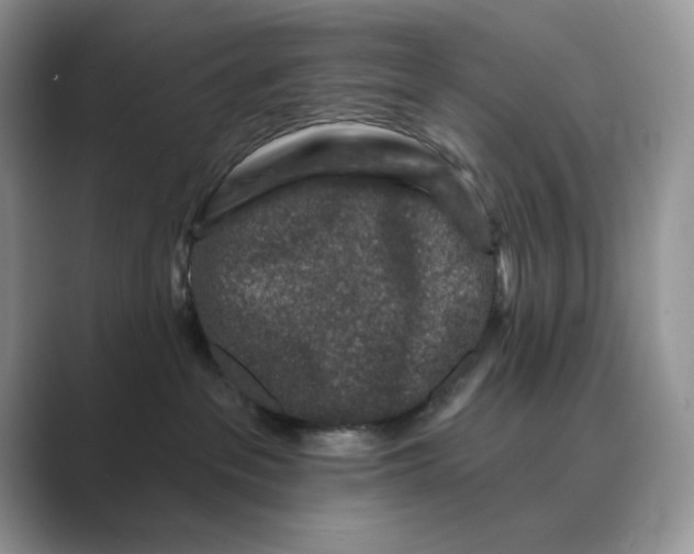 X0000089660237200707051535