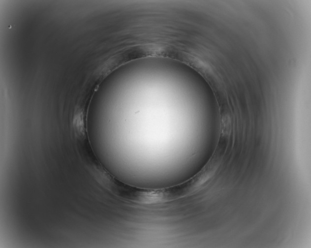 X0000089660238200707051535