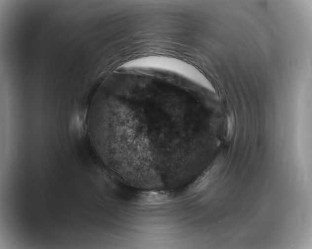 X0000089660239200707051535