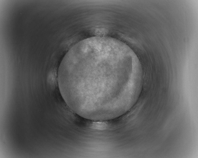 X0000089660240200707051535