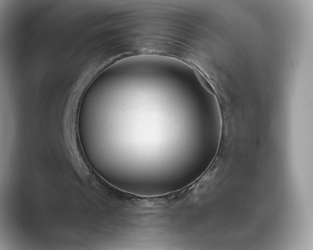 X0000089660241200707051535