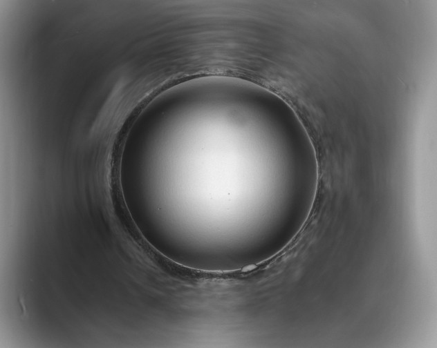 X0000089660242200707051535