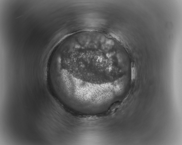 X0000089660243200707051535