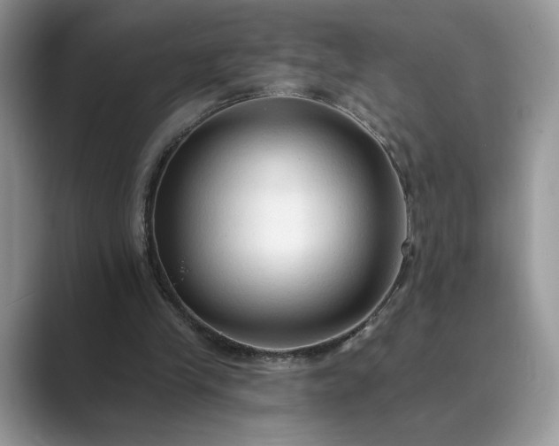 X0000089660245200707051535