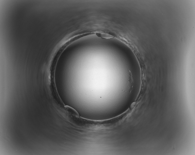 X0000089660246200707051535