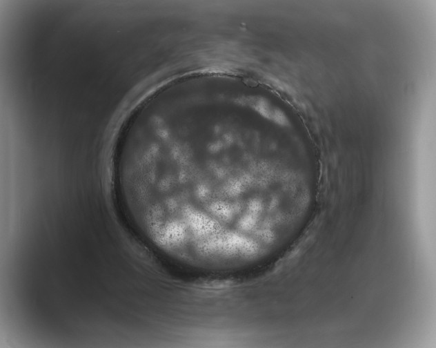 X0000089660247200707051535