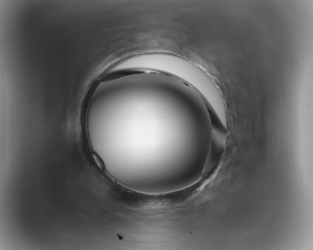 X0000089660248200707051535