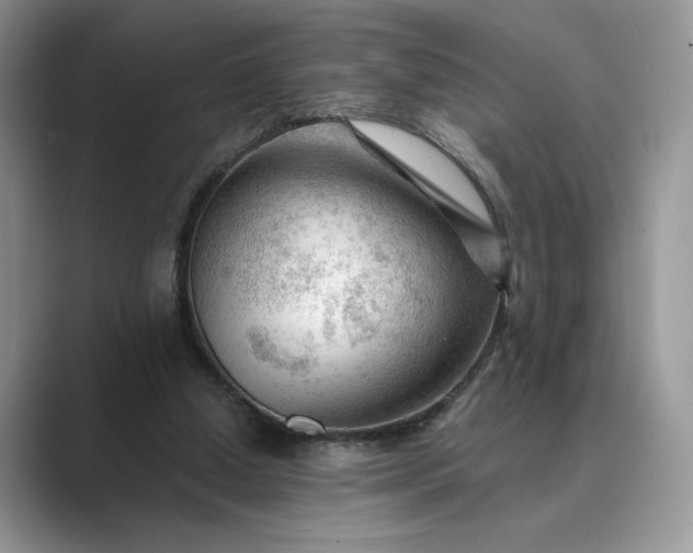 X0000089660250200707051535