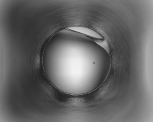 X0000089660251200707051535