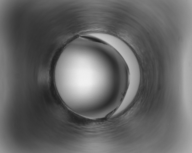 X0000089660252200707051535