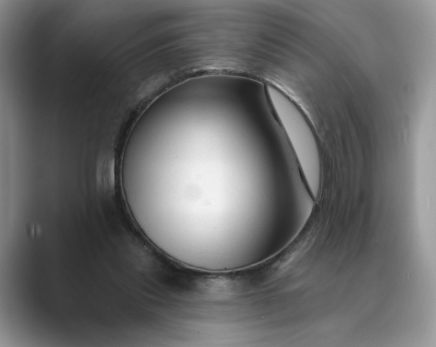 X0000089660253200707051535