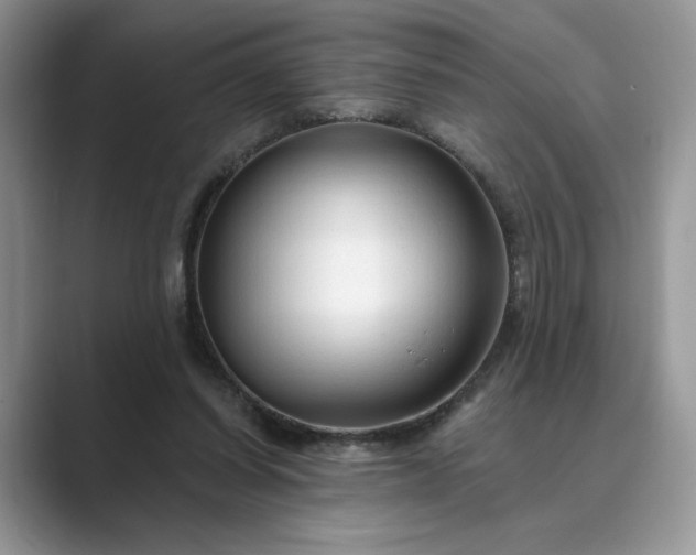 X0000089660254200707051535