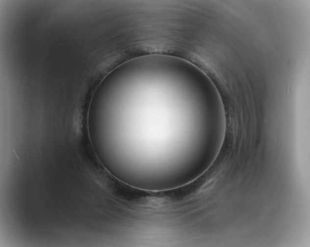 X0000089660255200707051535