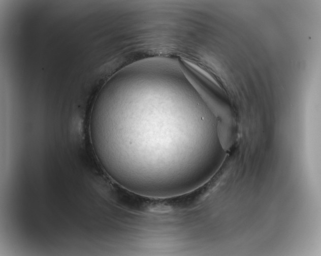 X0000089660258200707051535