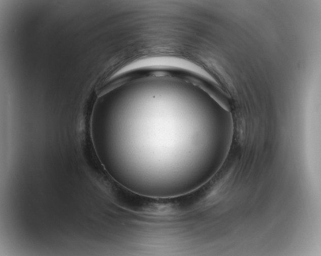 X0000089660260200707051535