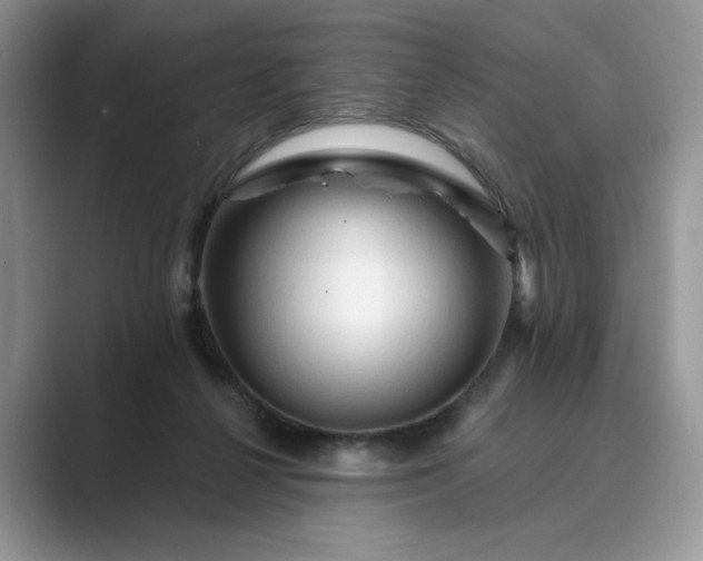 X0000089660264200707051535