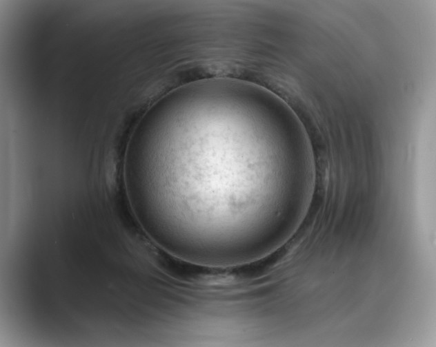 X0000089660266200707051535