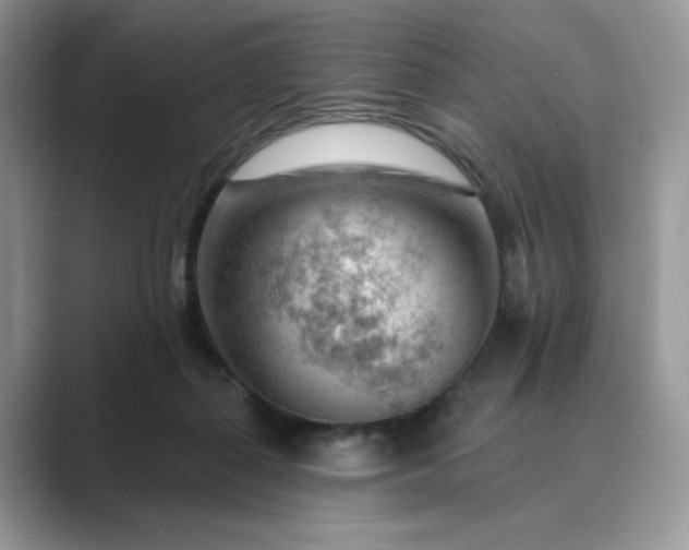 X0000089660267200707051535