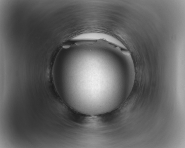 X0000089660269200707051535