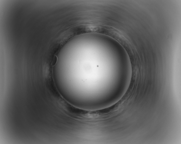 X0000089660270200707051535