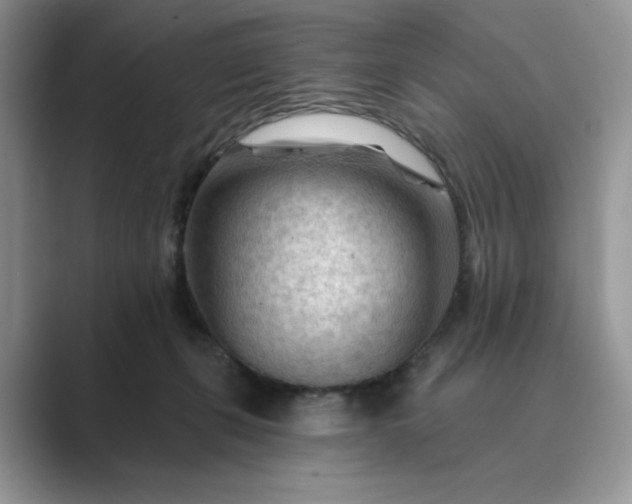 X0000089660271200707051535